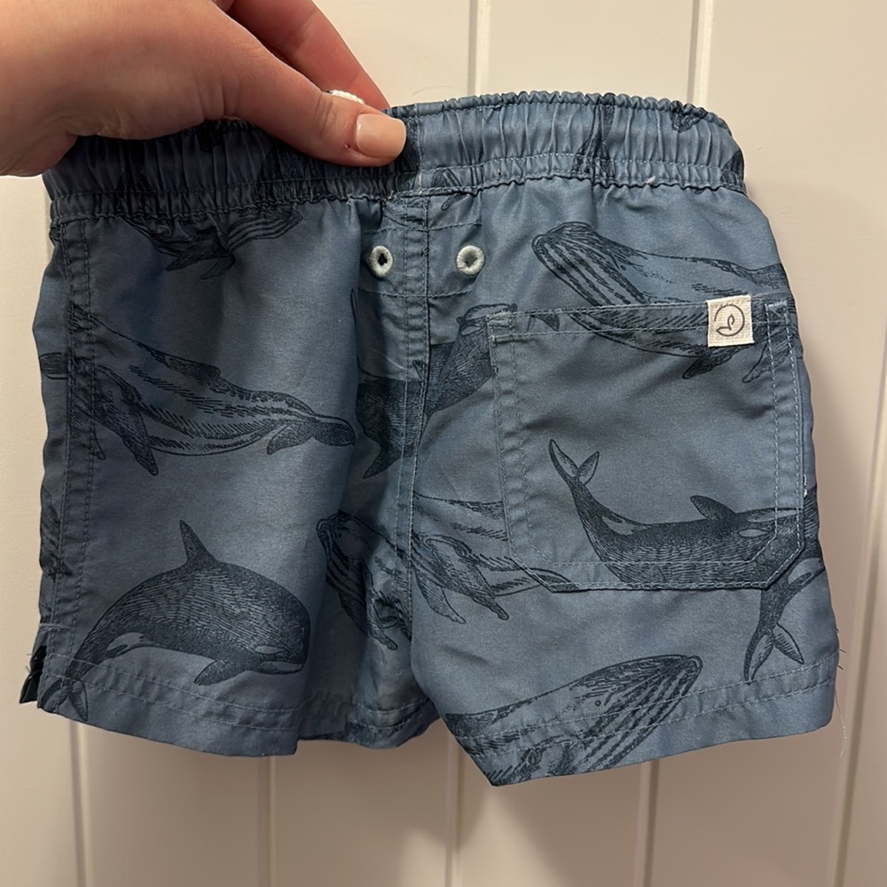 Swim trunks - Picture 2 of 2